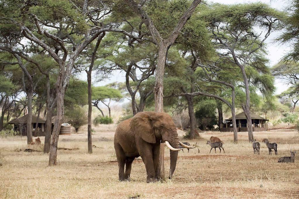 Hotel Sanctuary Swala Babati Exterior foto